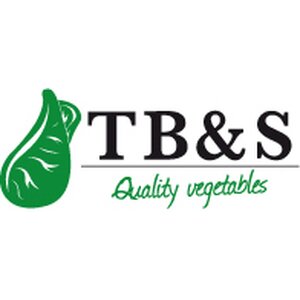 TB & S B.V. logo