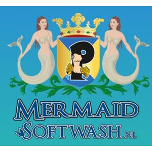 Mermaid Softwash logo