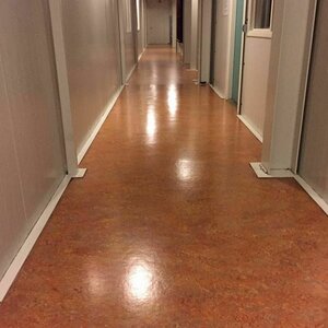 Ride &amp; Shine Carcleaning image 1