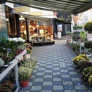 Bloemen- en Cadeaushop Romare image 2