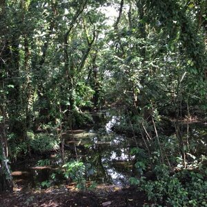 Kwekerij Jan Neelen image 1