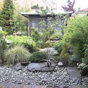 Hoveniersbedrijf A. Veenstra image 1