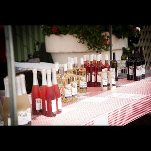 Wijndomein De Koen image 5