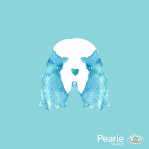 Pearle Castricum image 2