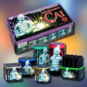 Fietsenhal J. Niks image 3