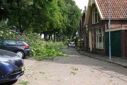 Woningen ontruimd in Enkhuizen vanwege vallende bomen