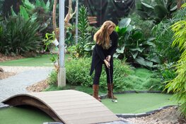 Op zoek naar een super leuk uitje? Kom gezellig minigolfen of wandel tussen de mooiste vlinders in Vlindorado