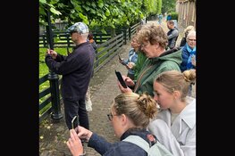 Smartphone fotografie in Uitgeest, Alkmaar, Zuiderzeemuseum en Broekerveiling