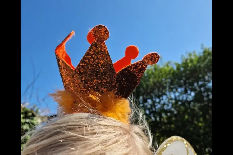 Koningsdag en aubades 2025 in Drechterland