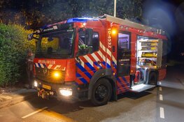 Omgevallen boom verspert weg in Westwoud