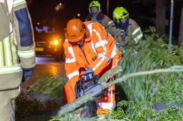 Omgevallen boom verspert weg in Westwoud
