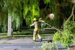 Omgevallen boom verspert weg in Westwoud