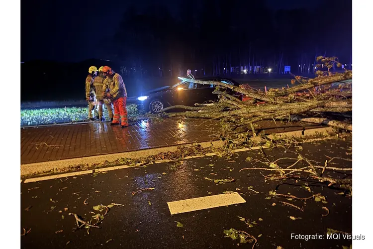 Omvallende boom raakt personenauto op de Provincialeweg (N506) in Westwoud: Bestuurder met de schrik vrijgekomen