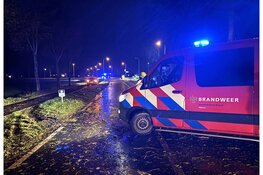 Omvallende boom raakt personenauto op de Provincialeweg (N506) in Westwoud: Bestuurder met de schrik vrijgekomen