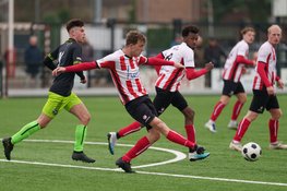 Spartanen wint verdiend van gehavend De Valken