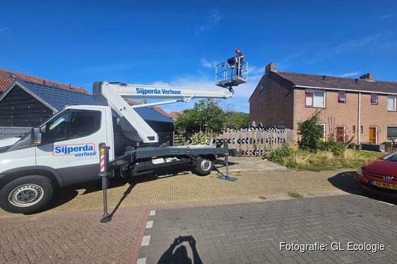 Helpt u de huismus, gierzwaluw of vleermuis aan een plek in uw buurt? Westfriese gemeenten zoeken adressen voor nestkasten