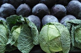 "Weet wat je Eet" in Rundveemuseum op 11 januari