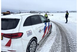 Ontsnapte schapen op de Westfrisiaweg, politie moet hulp bieden