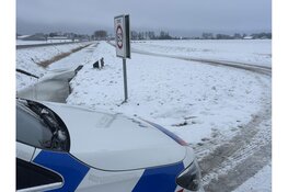 Ontsnapte schapen op de Westfrisiaweg, politie moet hulp bieden