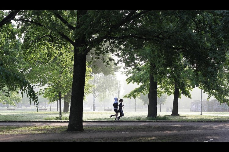 Noord-Hollanders meest actief van Nederland, toch voldoet slechts helft aan beweegrichtlijn