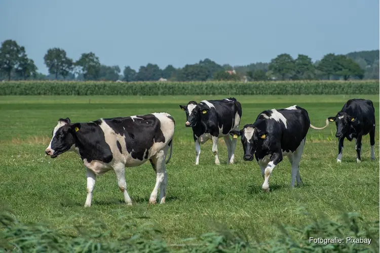 Noord-Holland monitort samen met boeren stikstofuitstoot