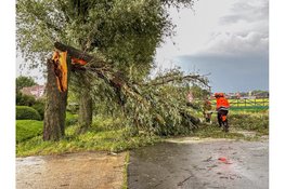 Slimweg in Hoogkarspel enige tijd volledig afgesloten door afgeknakte boom
