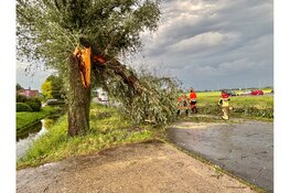 Slimweg in Hoogkarspel enige tijd volledig afgesloten door afgeknakte boom