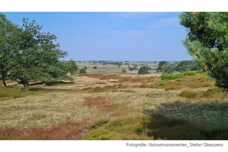 Ernstige zorgen natuurorganisaties over onvoldragen plannen Defensie