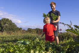 Na jaren zoeken is de plek gevonden: Herenboeren West-Friesland start in 2027 in Hem