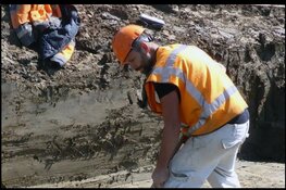 Lezing Wouter Roessingh over Westfriese Bronstijd
