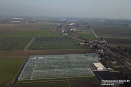 Plantenkwekerij Gitzels bundelt alle activiteiten in glastuinbouwgebied Het Grootslag