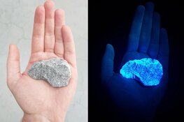 Onthulling holocaustmonument Levenslicht Enkhuizen