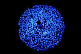 Onthulling holocaustmonument Levenslicht Enkhuizen