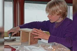 Timmer je eigen vogelhuisje!