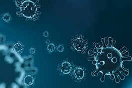 Drie nieuwe coronagevallen in West-Friesland: werkelijke aantal ligt mogelijk hoger