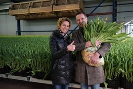 Tulpen voor Toppers nog lang niet klaar! Zorgtoppers in de bloemetjes gezet