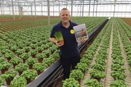 Elke week een Jeelink box met lokale producten