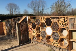 Zondag vol natuuractiviteiten