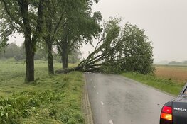 Fotoalbum: veel wateroverlast in grote delen van Noord-Holland