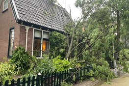 Fotoalbum: veel wateroverlast in grote delen van Noord-Holland