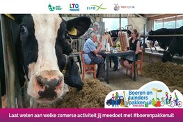 15 september koeschilderen op de camping Appelhoek