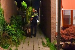 Politie zoekt getuigen van poging diefstal met geweld