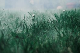 Rustig begin van de week, midweeks kans op wind en buien