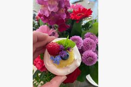 Opgeven voor de workshops, het kan weer!