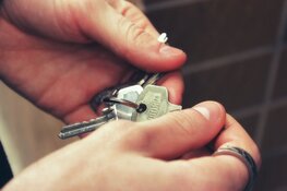 Stijging Nederlandse huizenprijzen in top vier Europese Unie